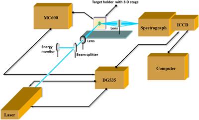 Analysis of Metal Elements Contained in Graphite Target Coated With Chinese Medicinal Material Nanoparticles Using LIBS